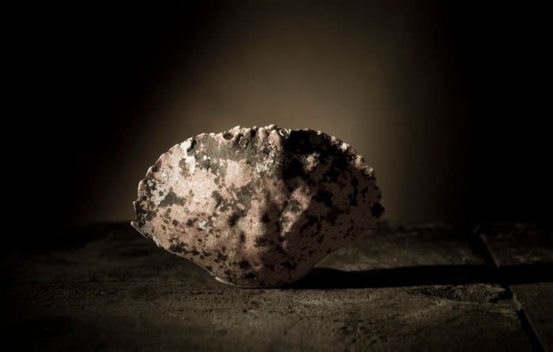Shell #3 by Matt McKee, Image 1.