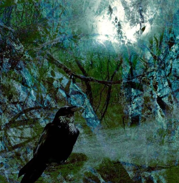Raven by James Burton 