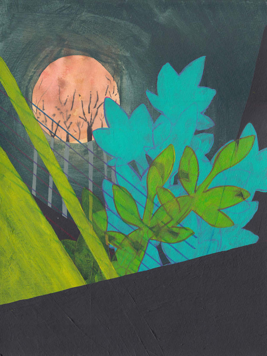 Enchanted by Emily Moores, Image 1.