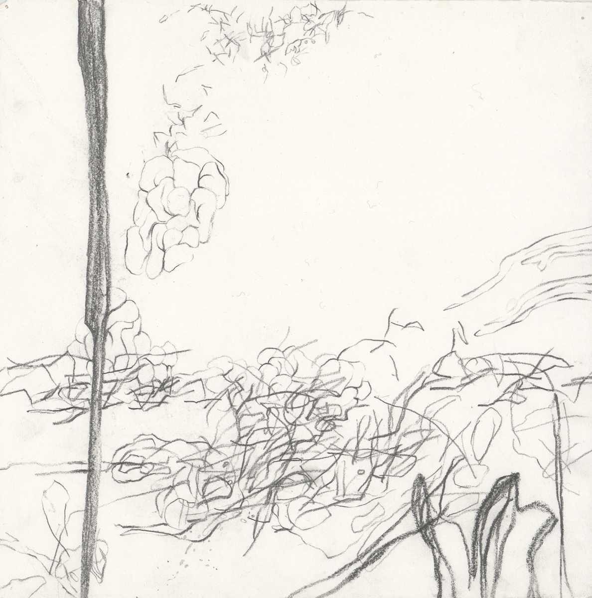 The Field by Emily Moores, Image 1.