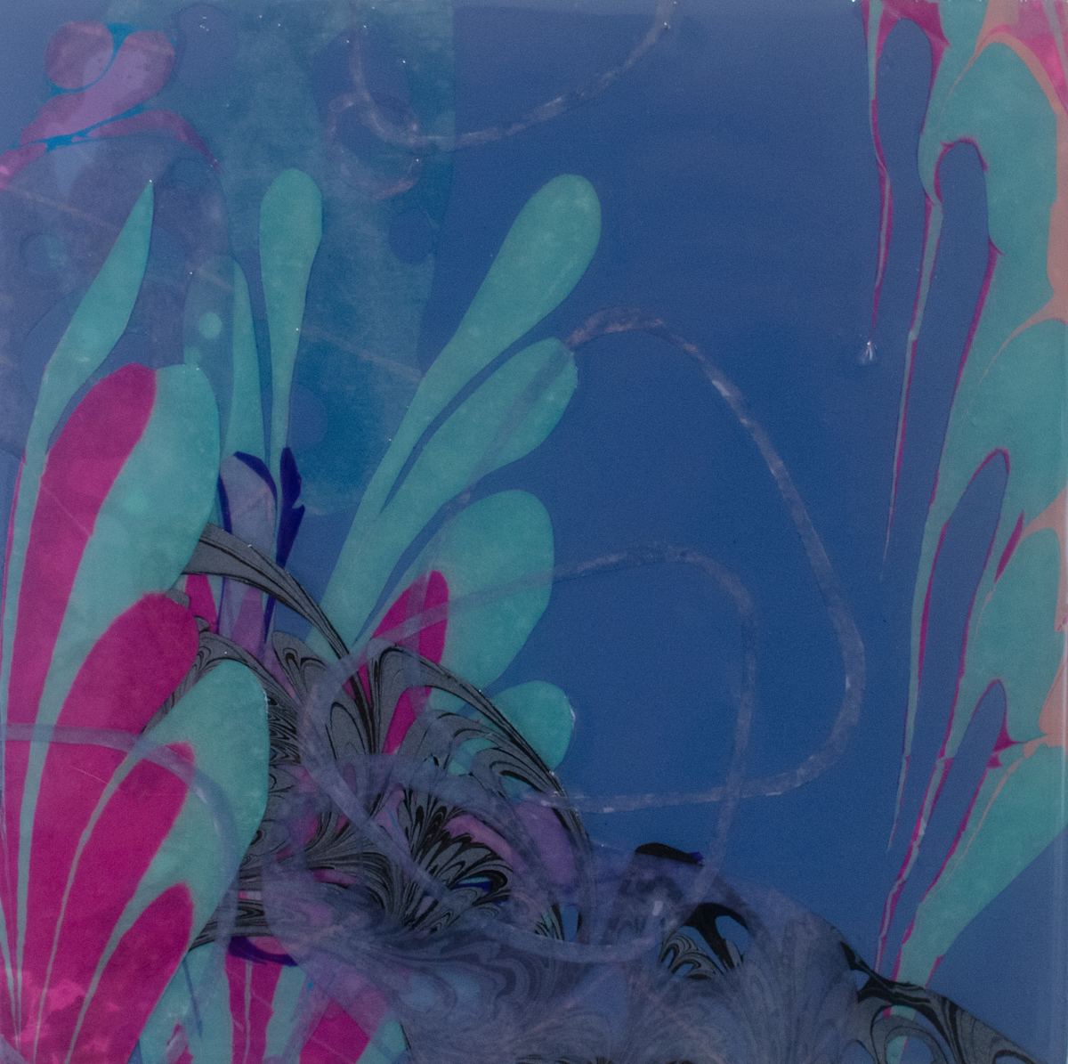 Secret Mermaids by Emily Moores, Image 1.