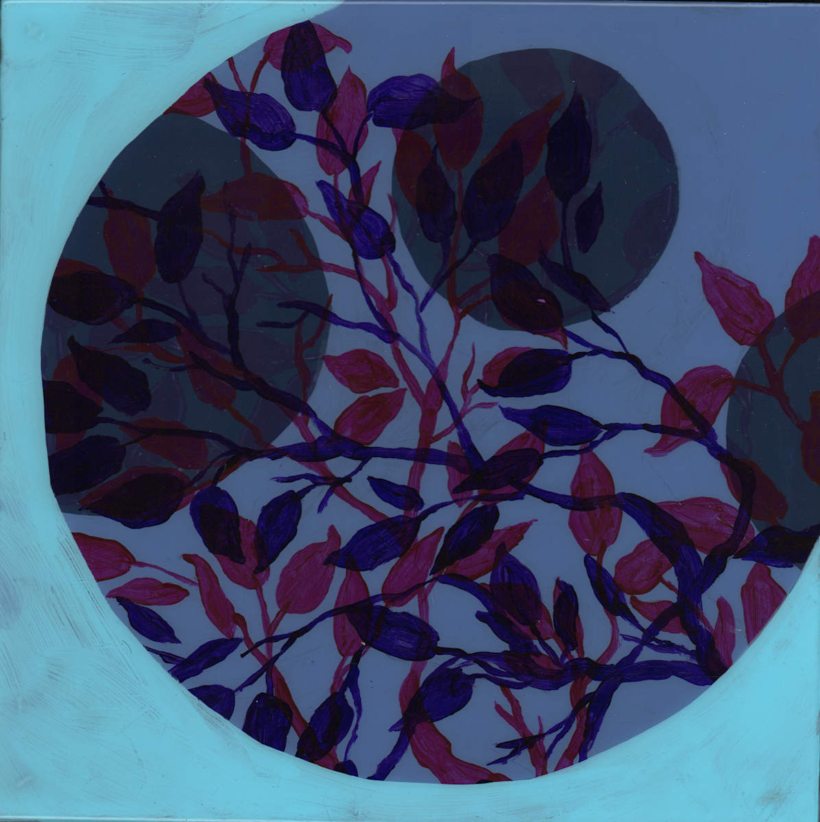 Undisturbed by Emily Moores, Image 6.
