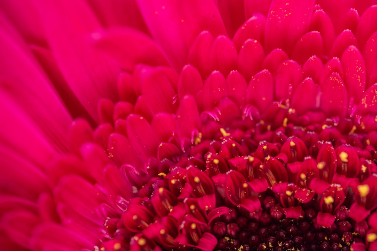 Might of Perspective by Aimee Woolverton (Art-ography by AimeeLouise) 