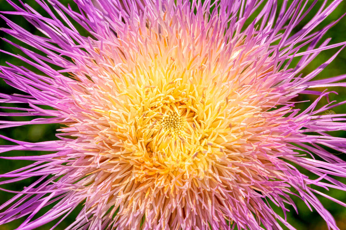 Bursting, Image 1.