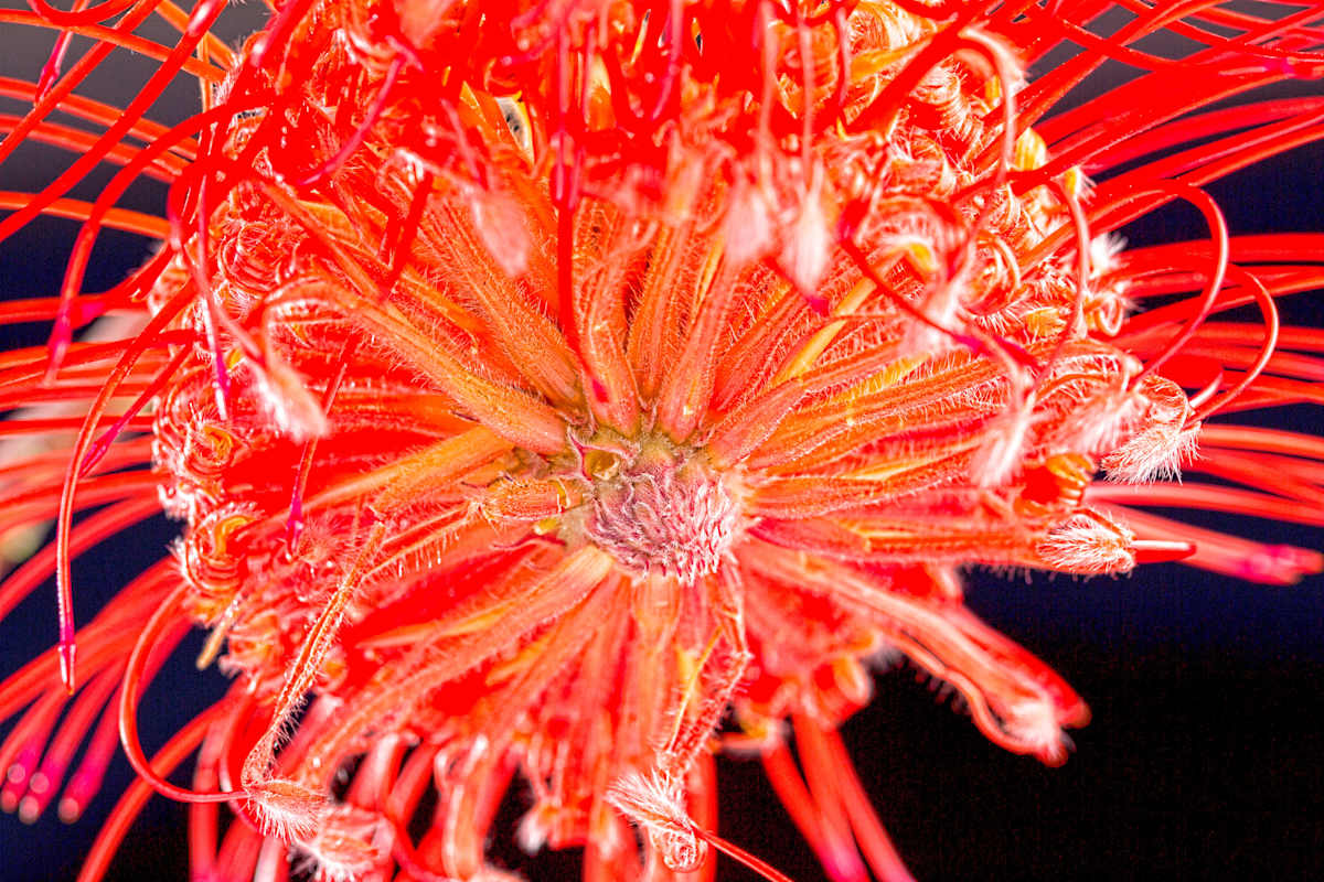 Reaching, Image 1.