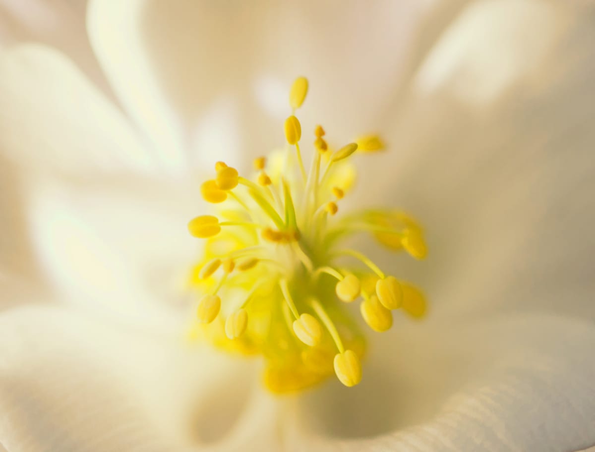 Reaching Out, Image 1.