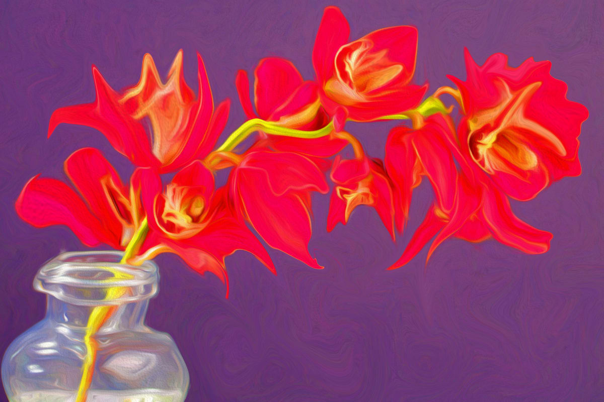 Quirky Orchids #1, Image 1.