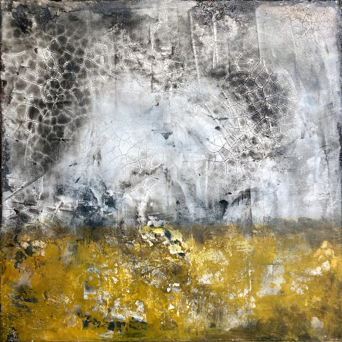 Crackly by susan wolfe huppman 
