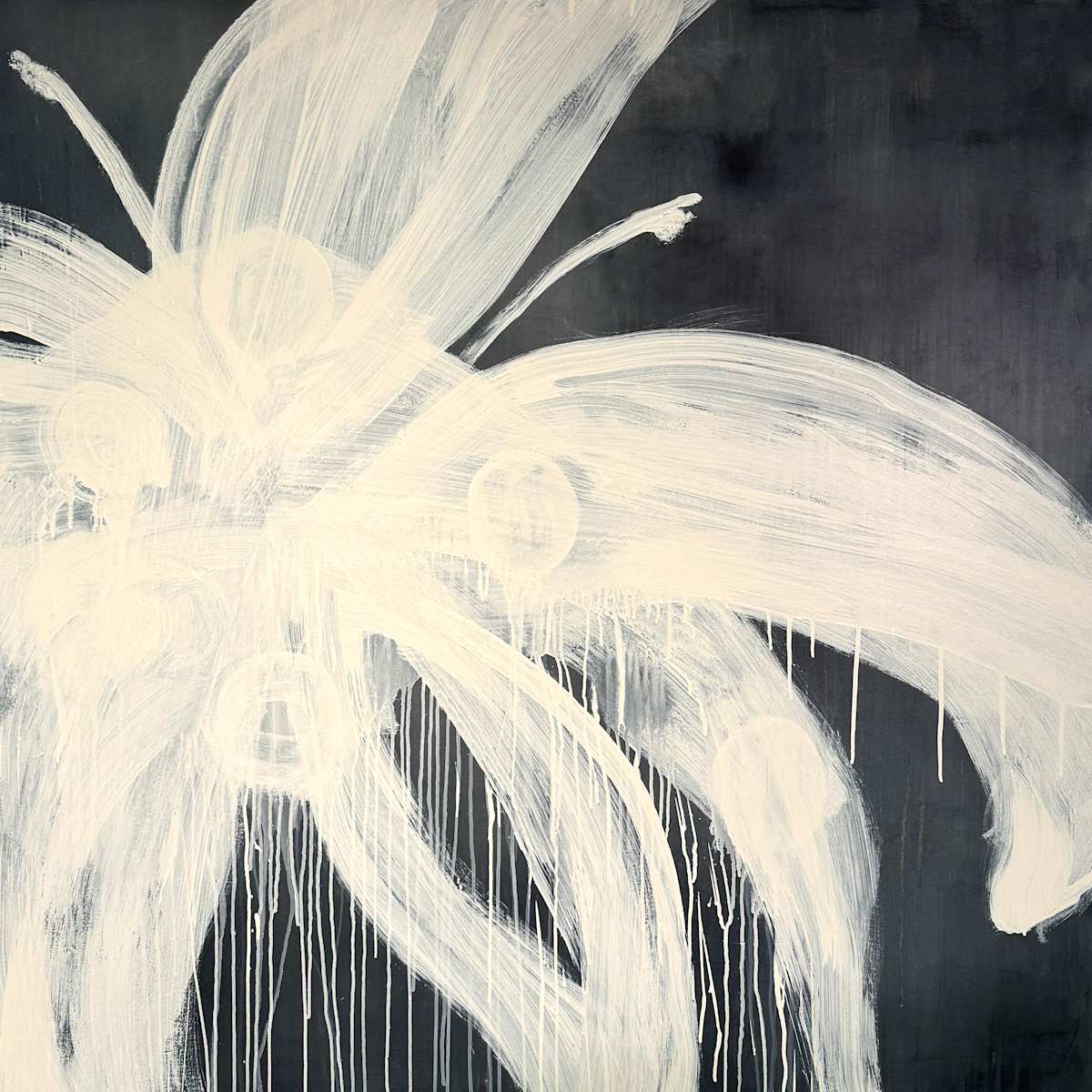 First Flower by susan wolfe huppman 