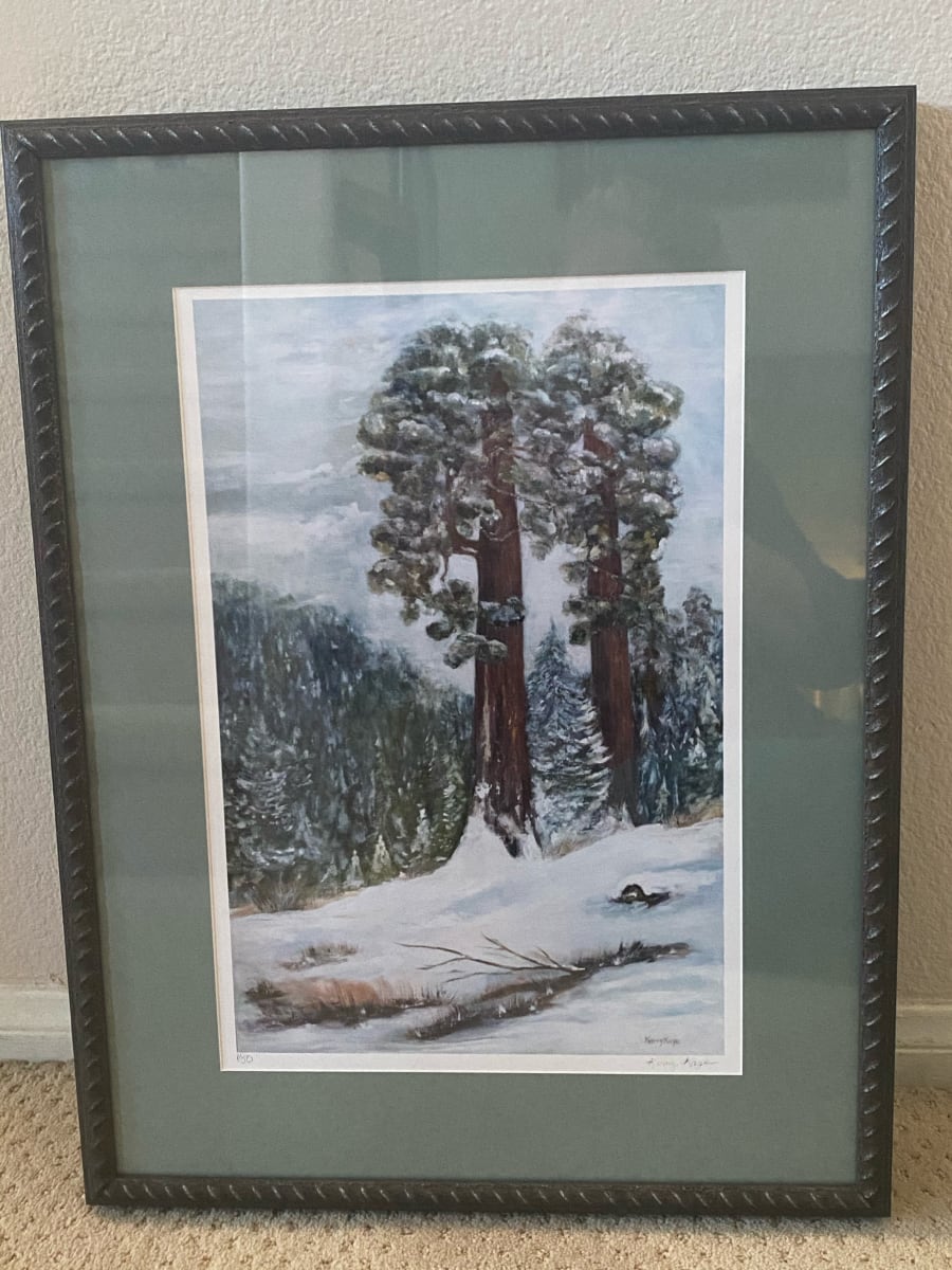 Towering Redwoods 1/50 by Kerry Kaye 