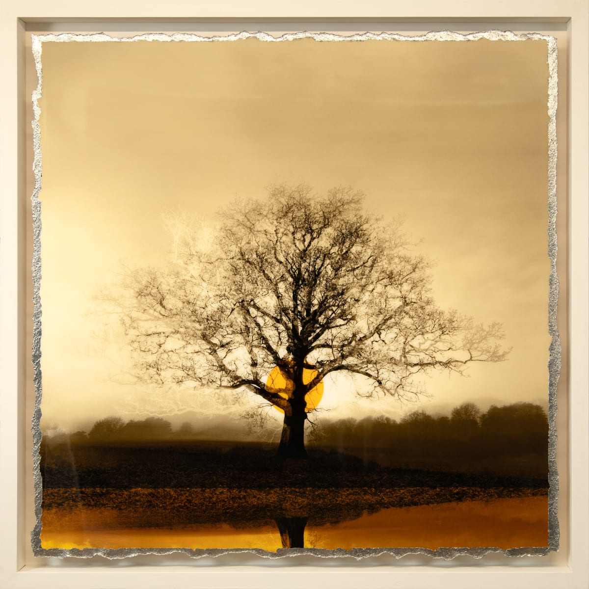 Chroma II by Mark Welland, Image 2.