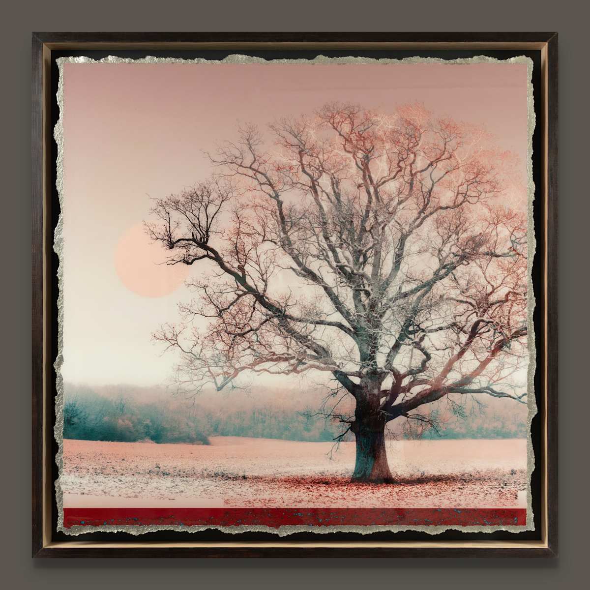 Chroma VI by Mark Welland 