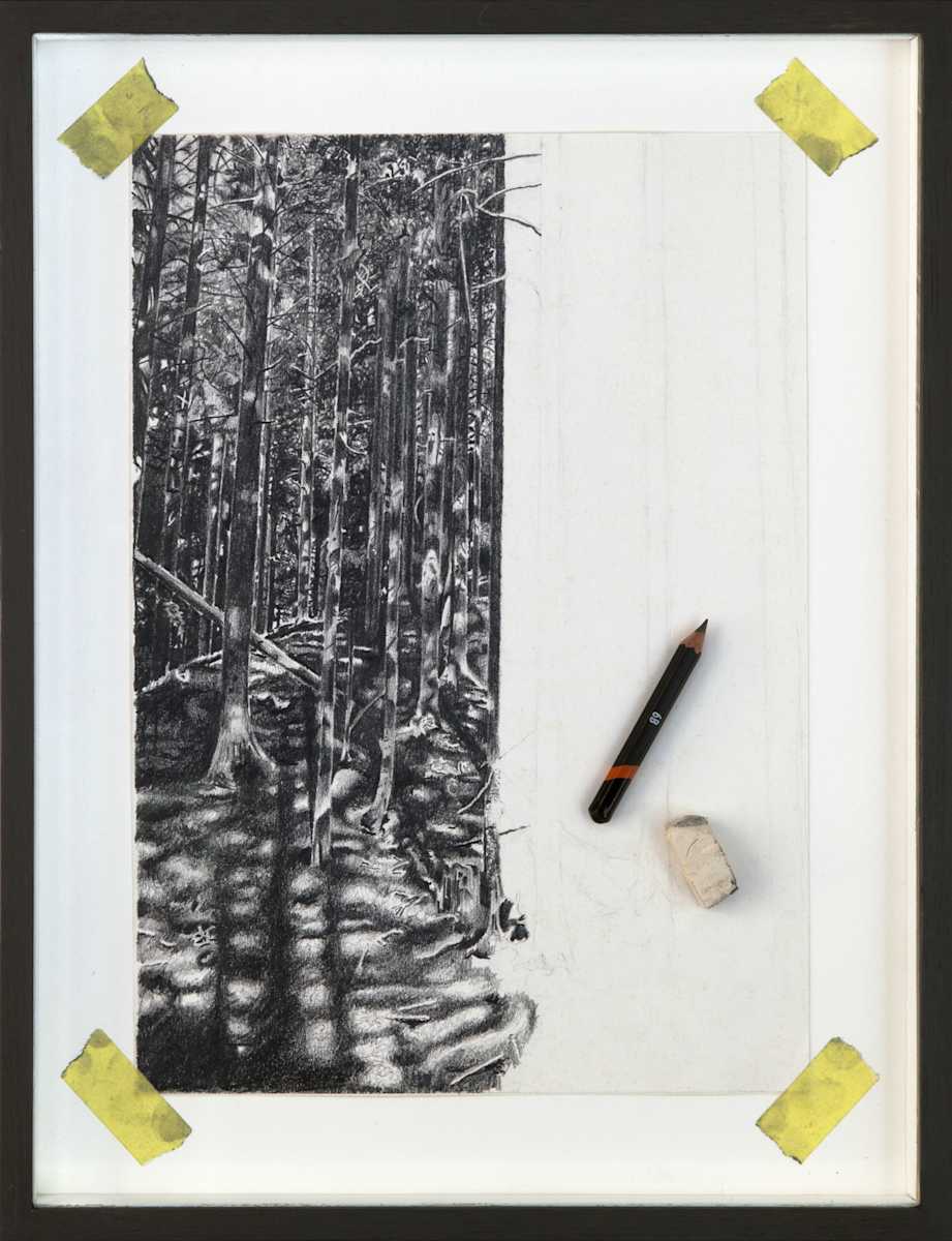 Distraction 1 - Half Drawn Forest by Mark Welland 