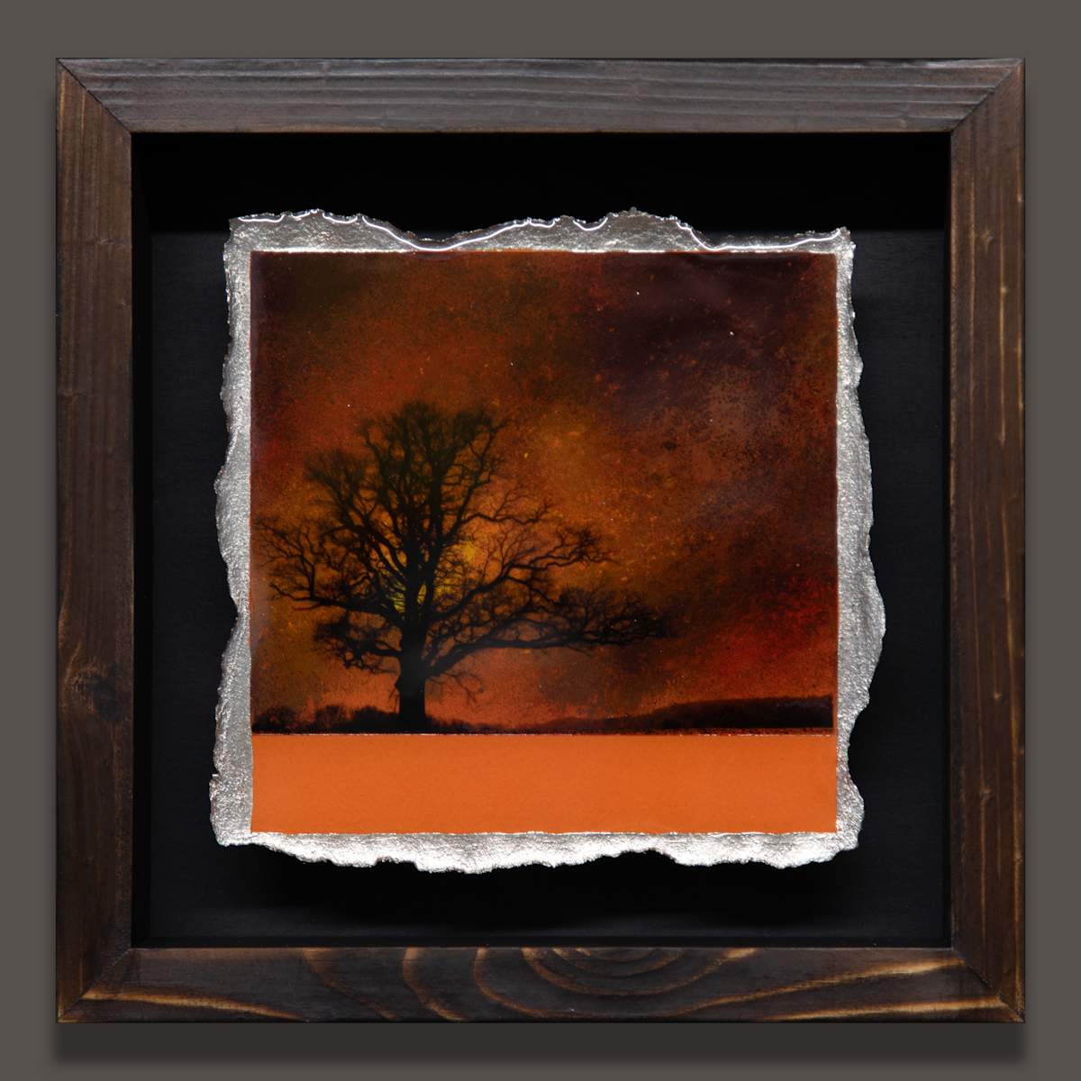 I CONTAIN MULTITUDES - Earth Tones on Mandarin by Mark Welland, Image 3.