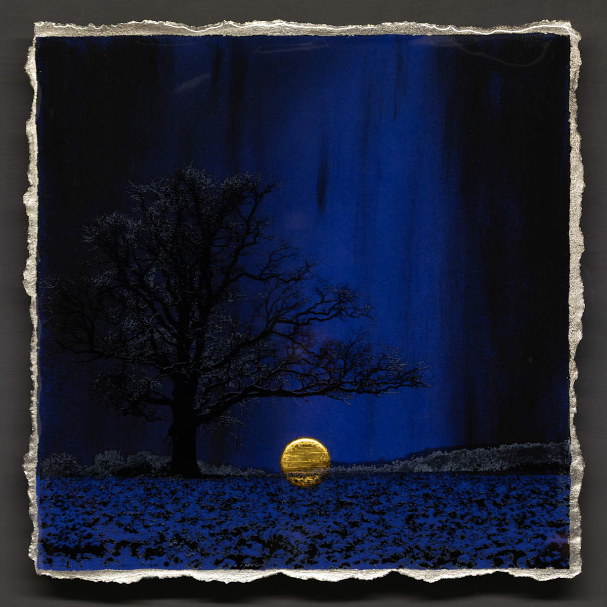 I CONTAIN MULTITUDES - COBALT by Mark Welland 