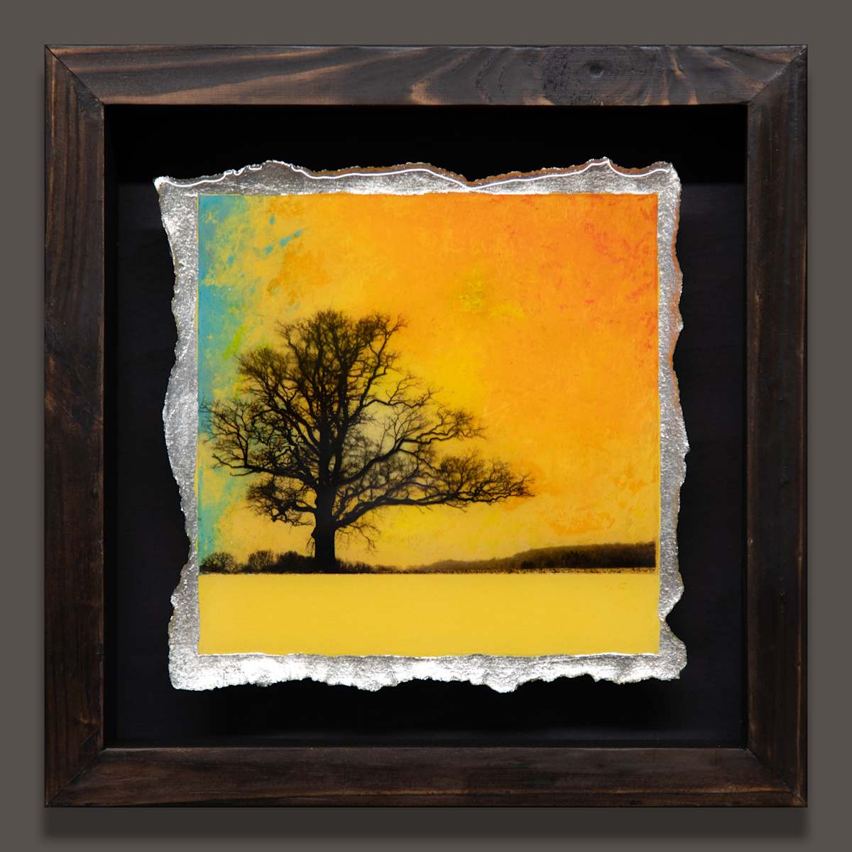 I CONTAIN MULTITUDES - Orange on Pineapple by Mark Welland, Image 1.