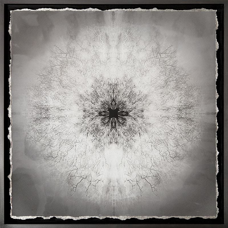 Tesla's Vision I by Mark Welland 