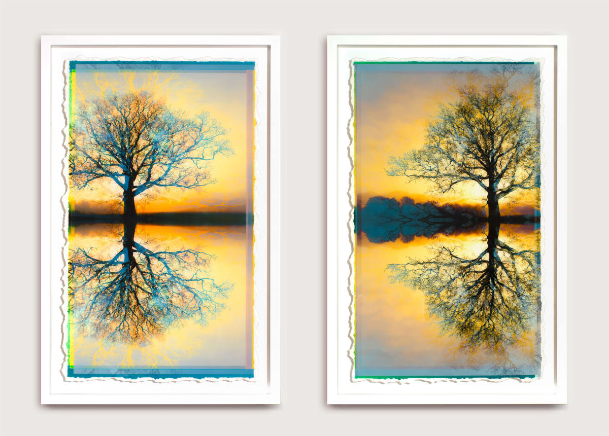Split Horizon Diptych 