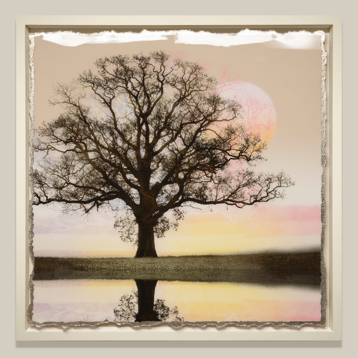 Rising XII by Mark Welland  Image: Rising XII