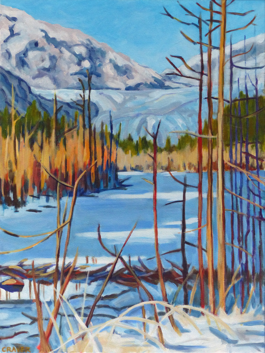 Taak'w - Winter Beaver Pond by Barbara Craver 