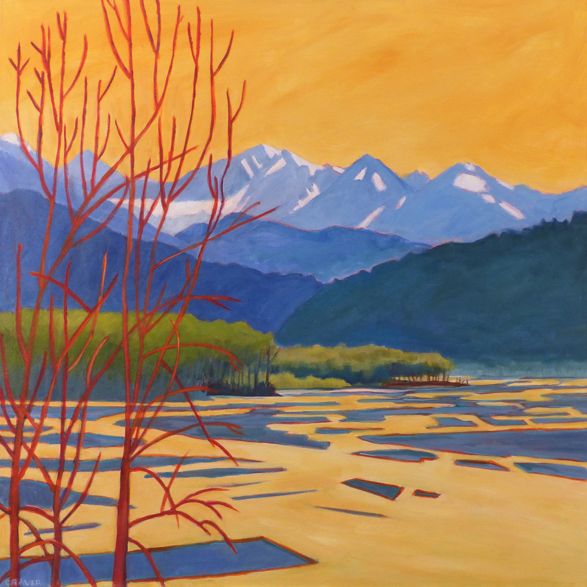 Chilkat River Flats Sunset by Barbara Craver 