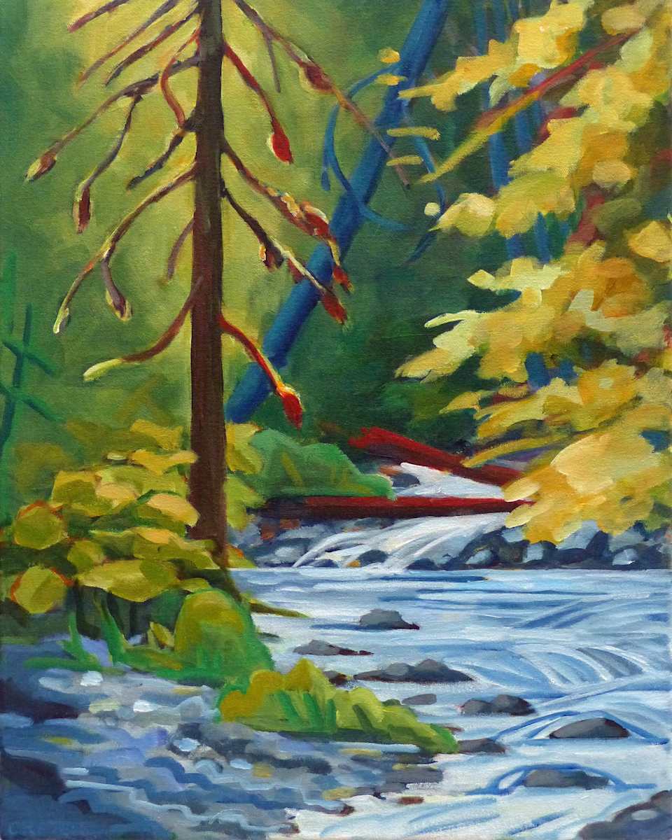 Mossy Tree in Sun by Barbara Craver, Image 1.