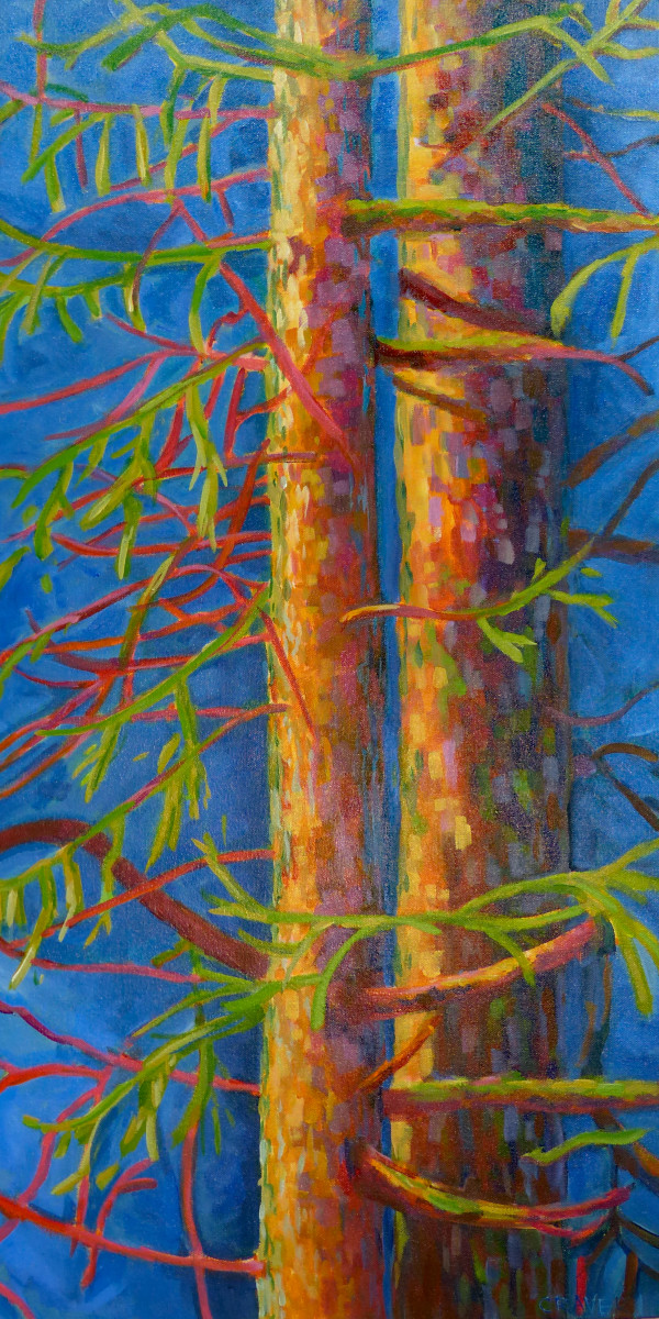 Deix Shéiyi, Two Spruce by Barbara Craver 