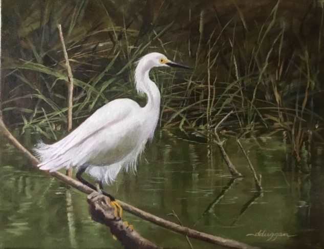 Snowy Egret High Island by Dianne Duggan 
