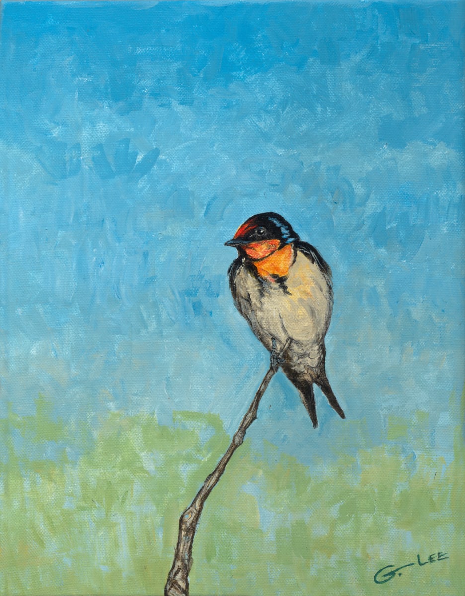 Welcome Swallow by George Douglas Lee  Image: Prints Available