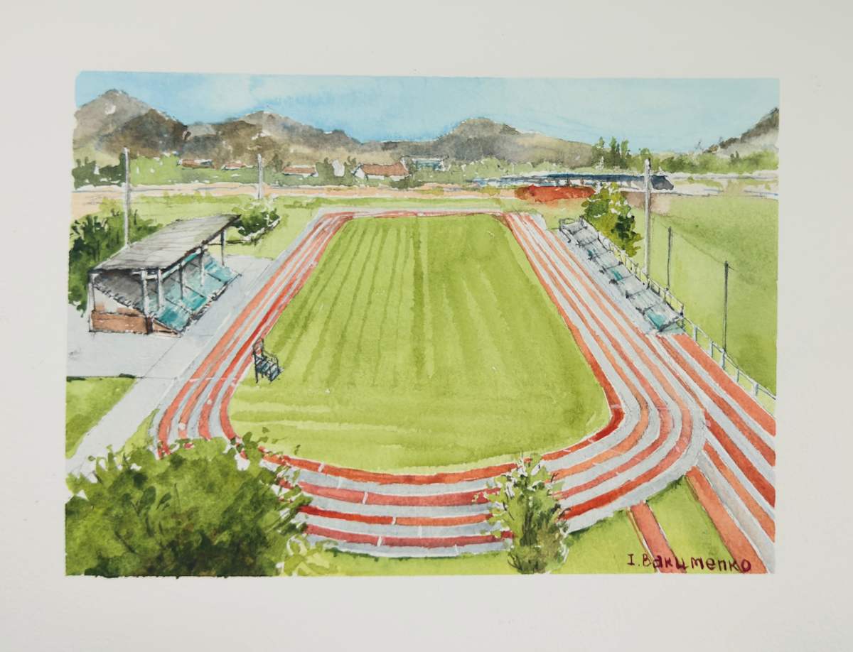 Apple Bowl Stadium V.3 #543 by Irina Bakumenko BEEBLAGOART 