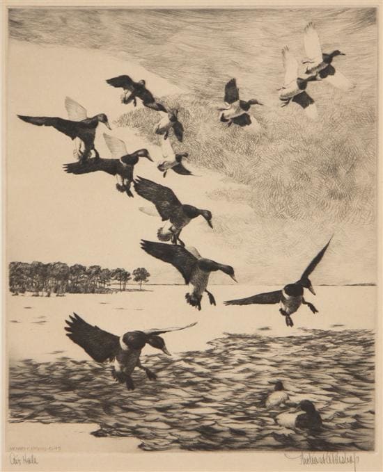 “Air Hale” by Richard Evett Bishop 
