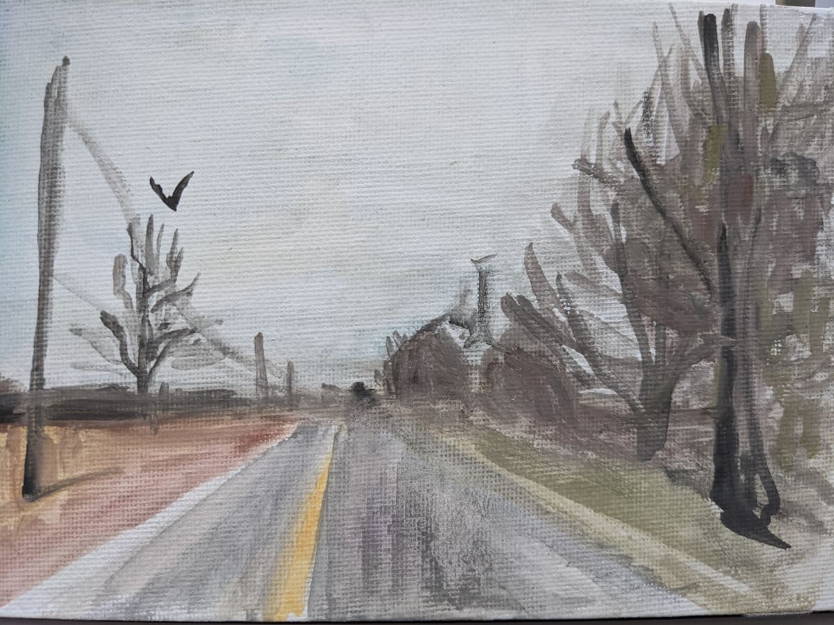Innisfil  Road Driving, Image 1.
