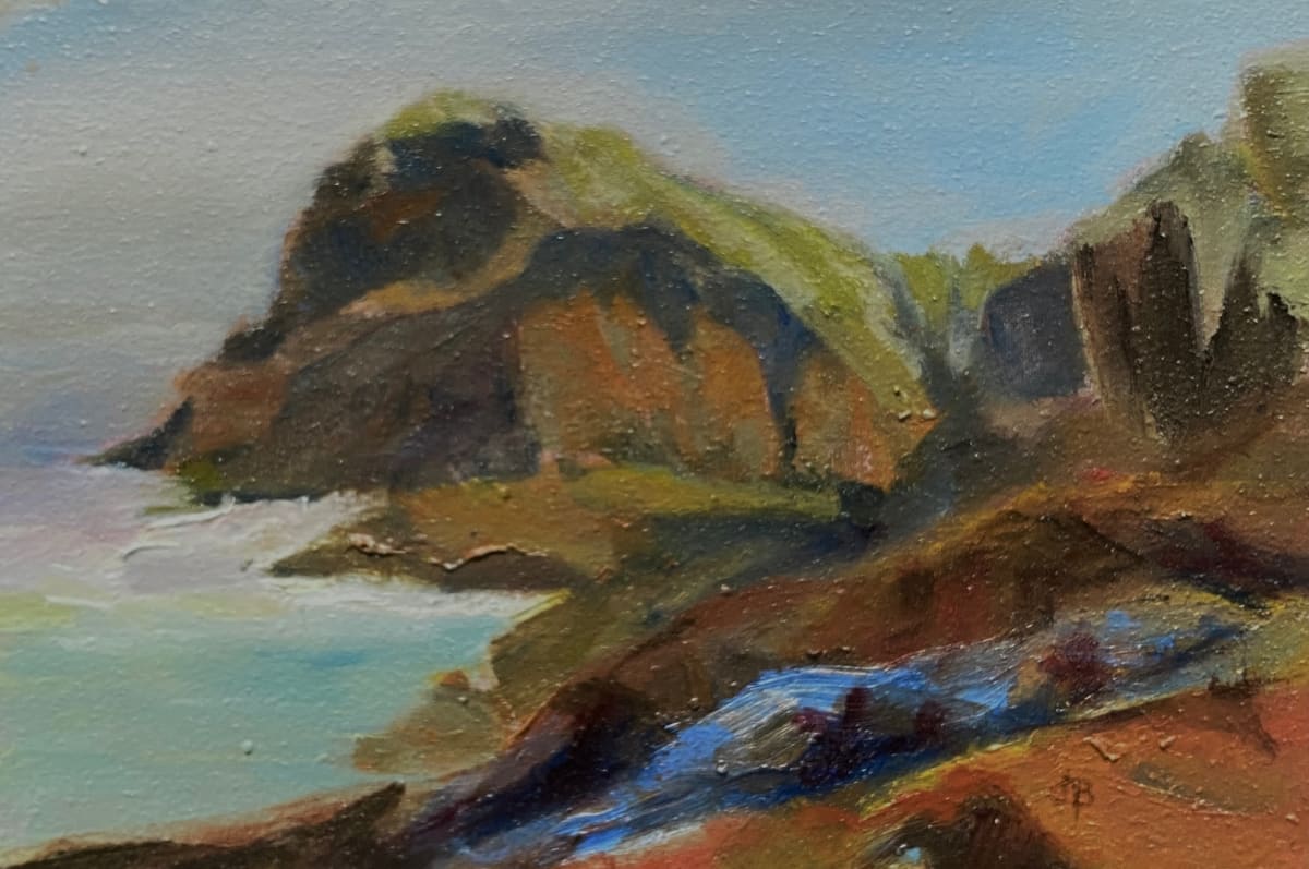 Gull Rock by Joan Brady 