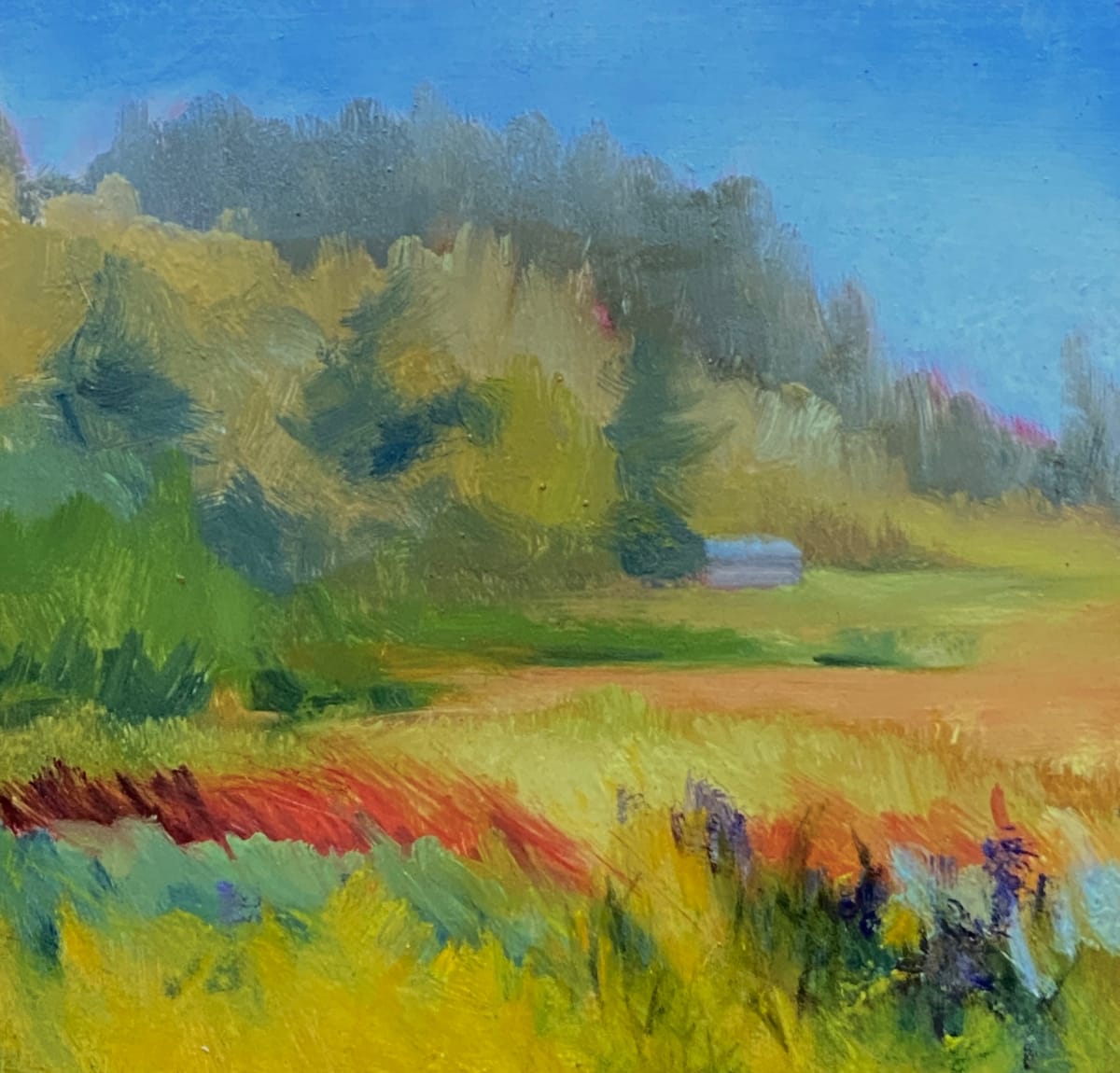 Across the Meadow by Joan Brady  Image: Across the Meadow, Monhegan