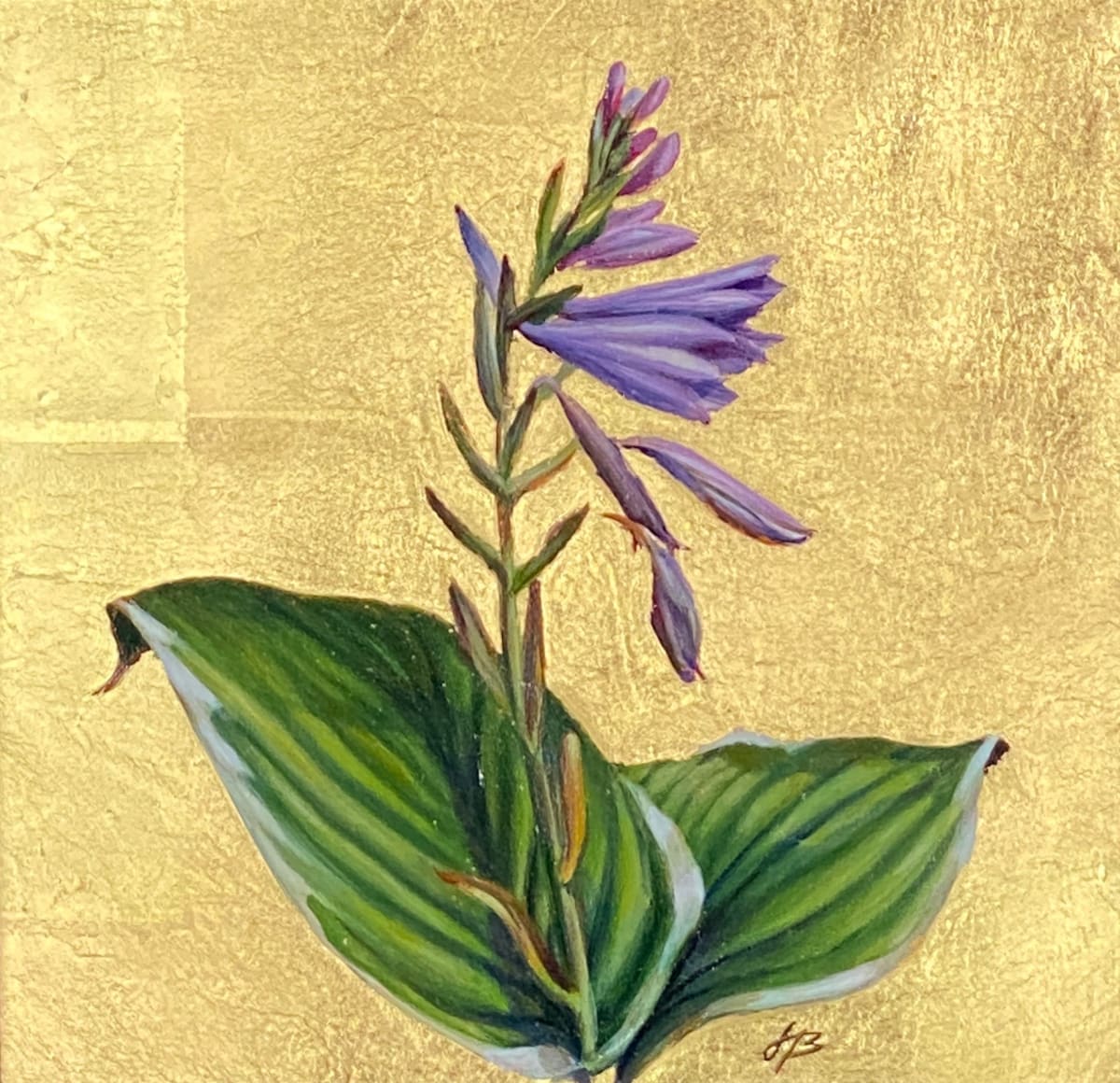 Hosta Flower by Joan Brady 