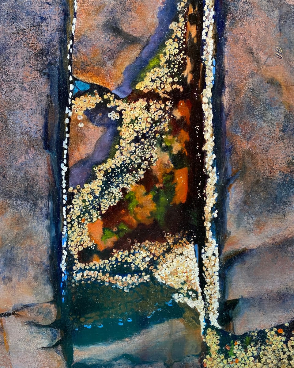 Tidal Pool Lobster Cove 2 by Joan Brady 