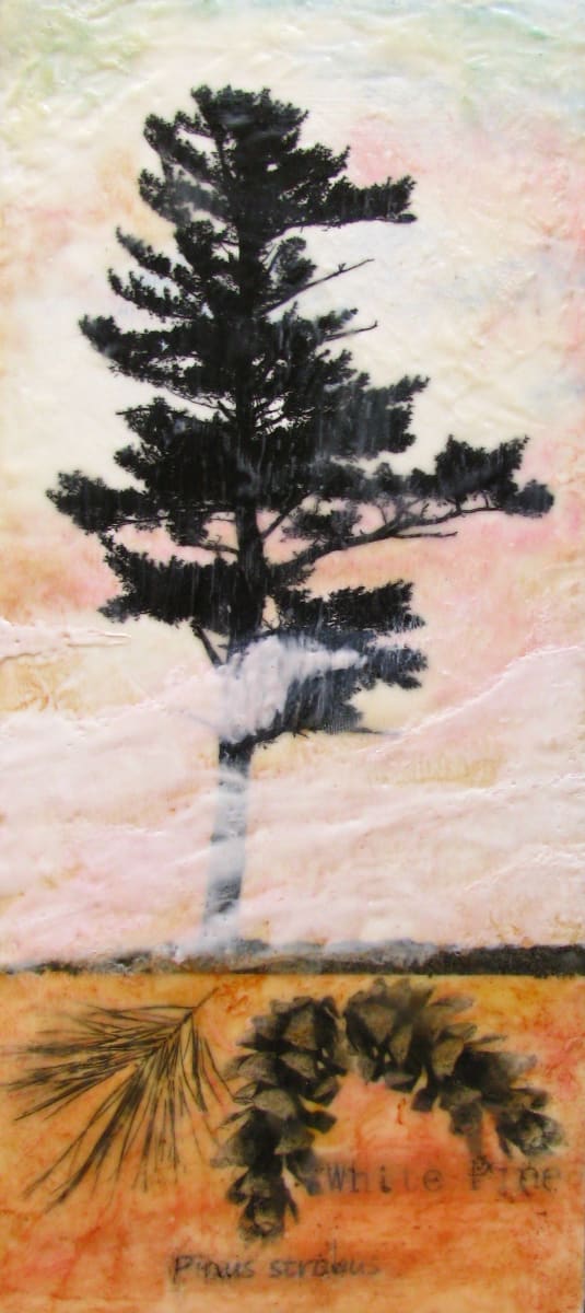 Dawn, Image 1.