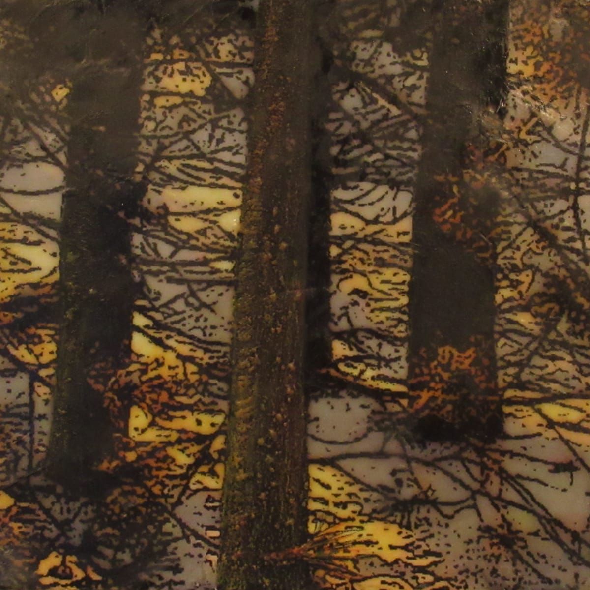Golden Dawn 2023 by Carla Benjamin  Image: 12" x 12" photo encaustic