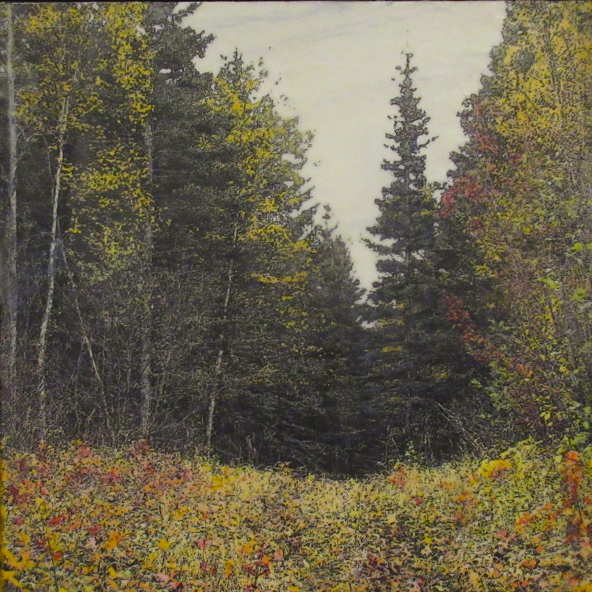 Highland Autumn by Carla Benjamin, Image 1.