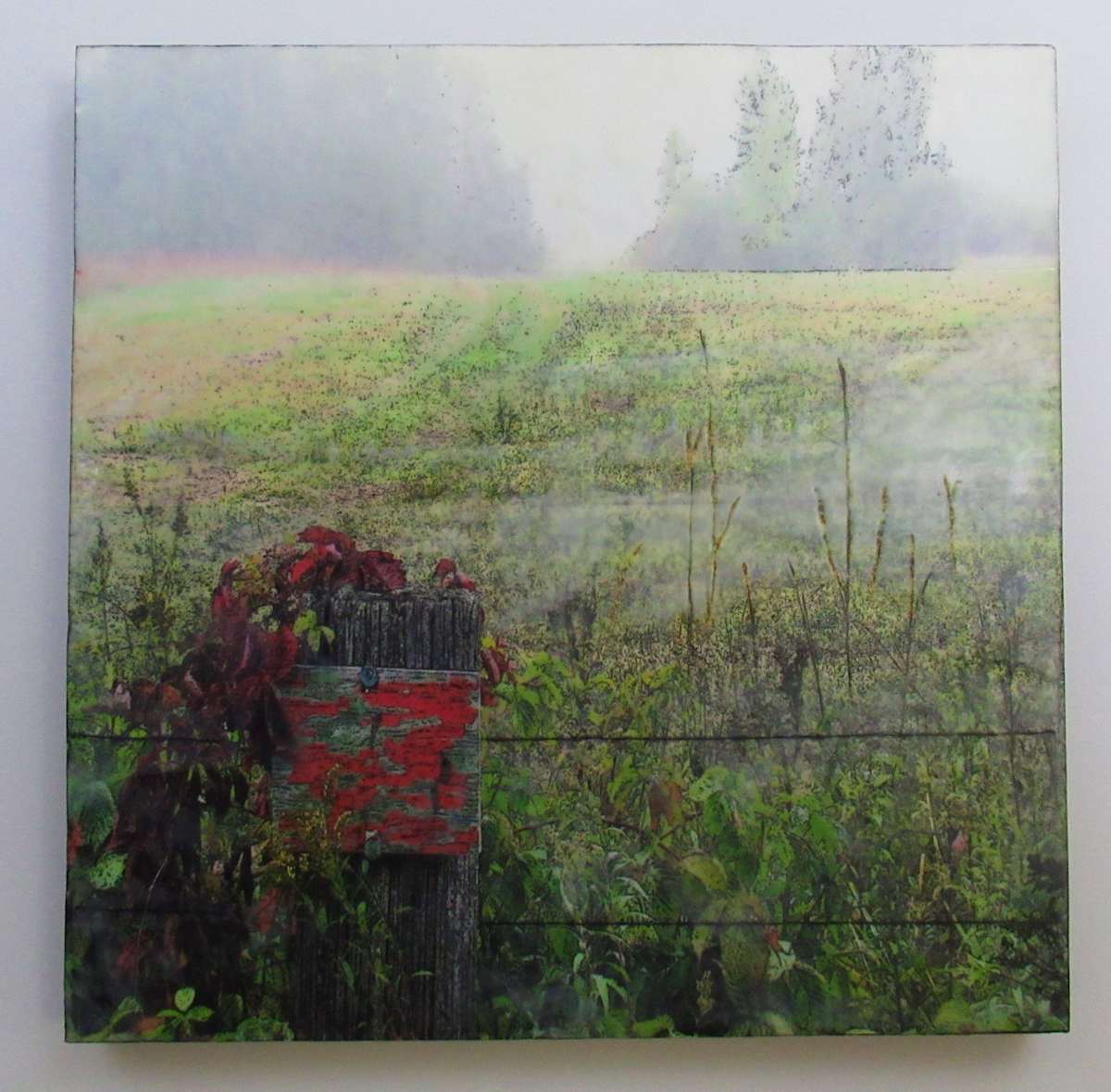 Gull Lake Glen 2021 by Carla Benjamin 