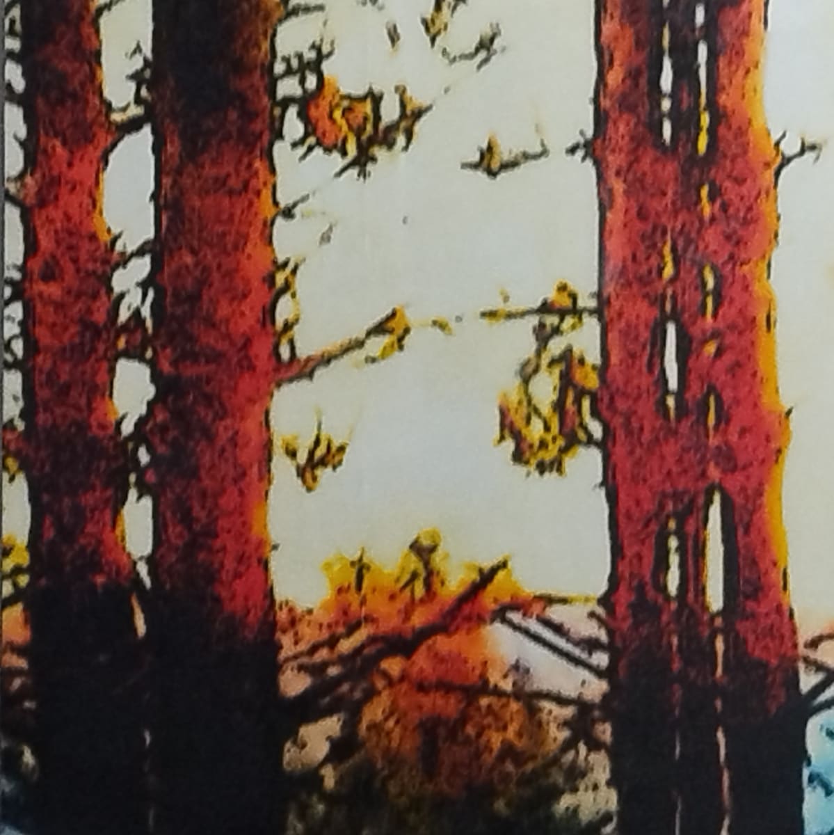 Sunrise Pine by Carla Benjamin  Image: Sunrise Pine 16" x16" photo encaustic