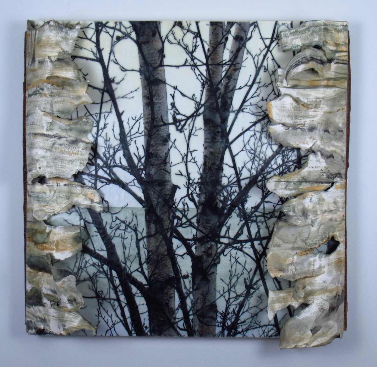 Big-Sea-Water Birch 2021 by Carla Benjamin  Image: Big-Sea-Water Birch 2021 30" x 30" x 7" Photo Encaustic, Arches cover, oil stick, copper wire, Birch branch