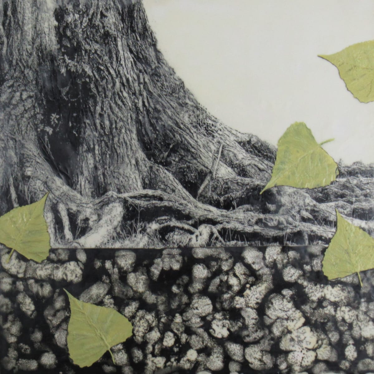 Cottonwood by Carla Benjamin, Image 1.