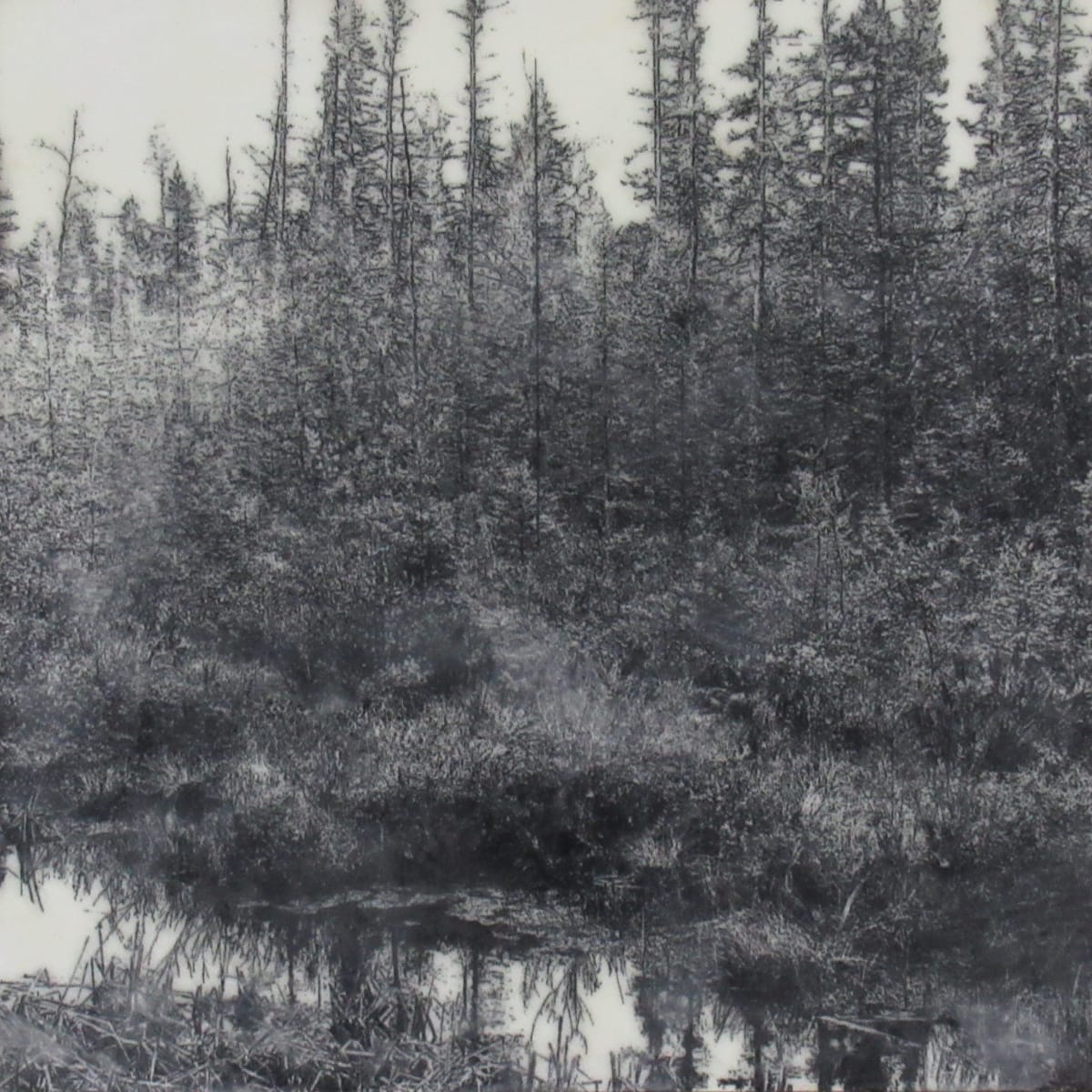 Black and White Series - Tamarac Reflections by Carla Benjamin, Image 1.