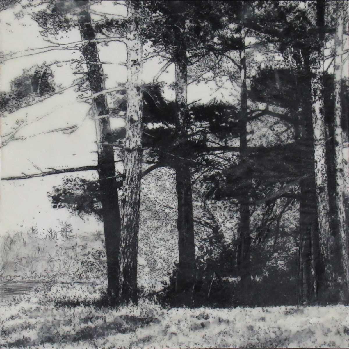 Black and White Series - Island View by Carla Benjamin  Image: Island View 2023