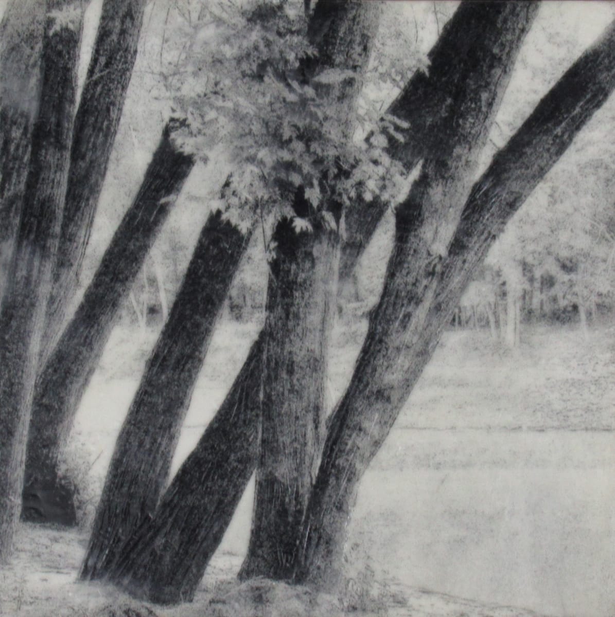 Black and White Series - MN Riverside by Carla Benjamin, Image 1.