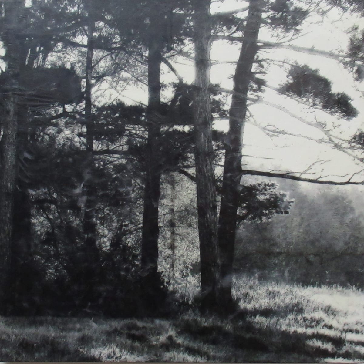 Middle Island by Carla Benjamin  Image: Middle Island 2023 36" x 36" photo encaustic