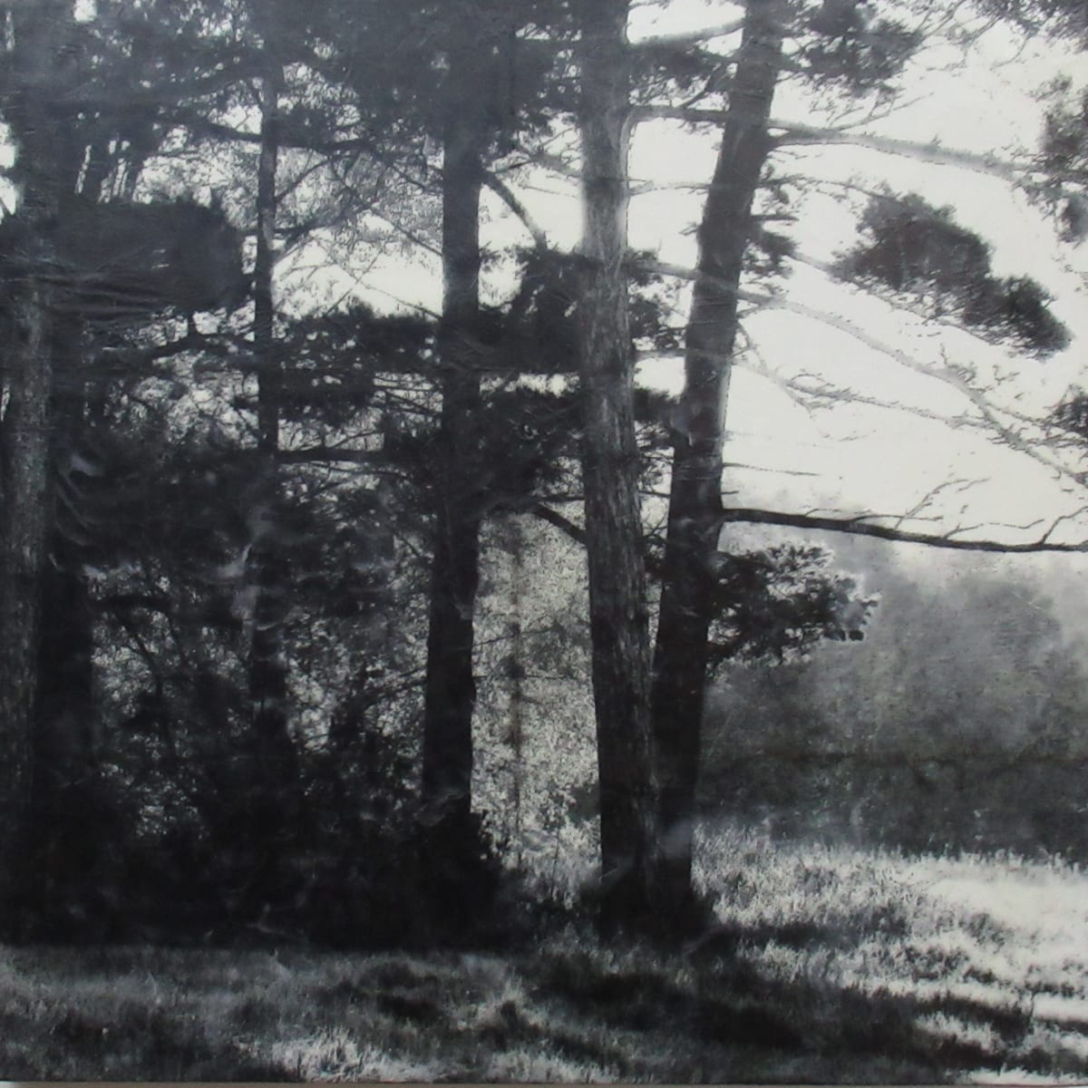 Middle Island by Carla Benjamin  Image: Middle Island 2023 36" x 36" photo encaustic