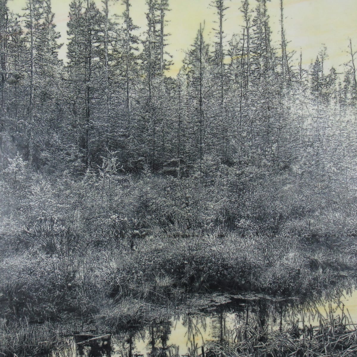 Tamarac Dusk by Carla Benjamin, Image 1.