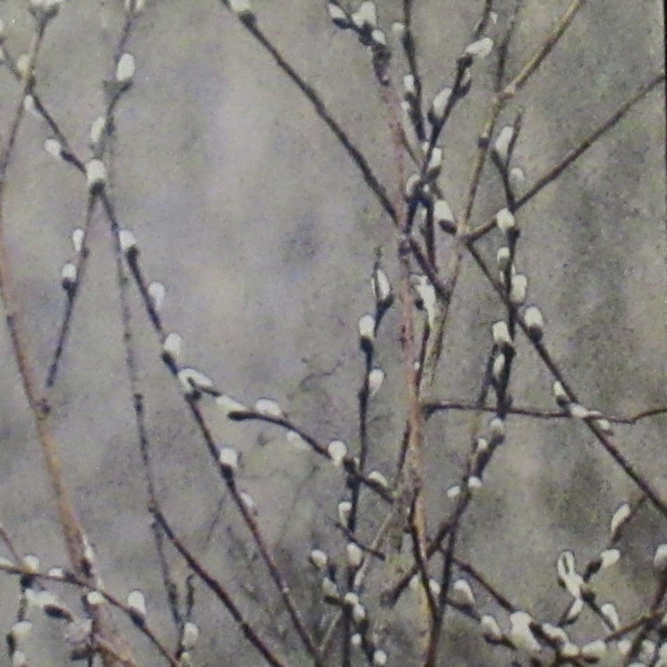 Spring Willows by Carla Benjamin, Image 1.